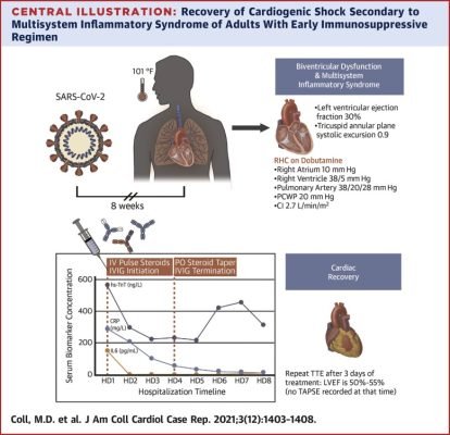 TNT400 (Test E 250mg,Tren E 150mg) 400mg/ml - Apoxar 8 TNT 400 MG steroid