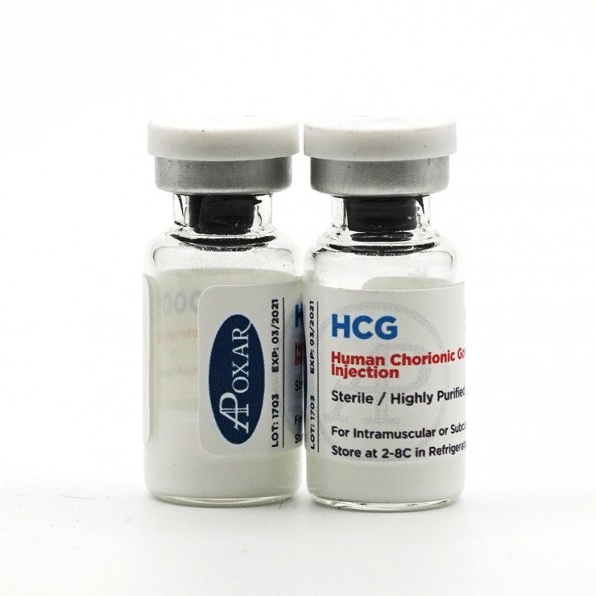 HCG - Gonadotropin 5000IU 1 HCG - Gonadotropin 5000IU - Apoxar