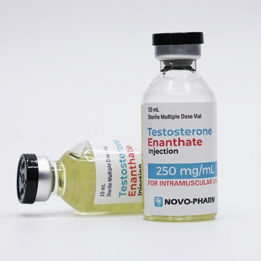 Testosterone Enanthate 250mg/ml - NovoPharm 1 Testosterone Enanthate 250mg/ml - NovoPharm